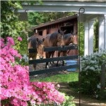 customer testimonial image