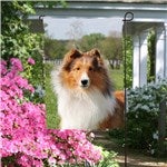 customer testimonial image