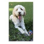 customer testimonial image