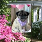 customer testimonial image