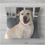 customer testimonial image