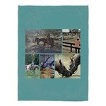 customer testimonial image