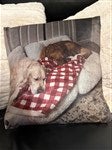 customer testimonial image
