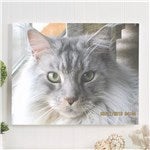 customer testimonial image