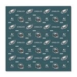 49283 - NFL Philadelphia Eagles Personalized Baby Hat & Receiving Blanket Set