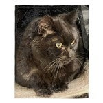 customer testimonial image