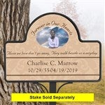 customer testimonial image